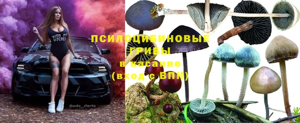 каннабис Верея
