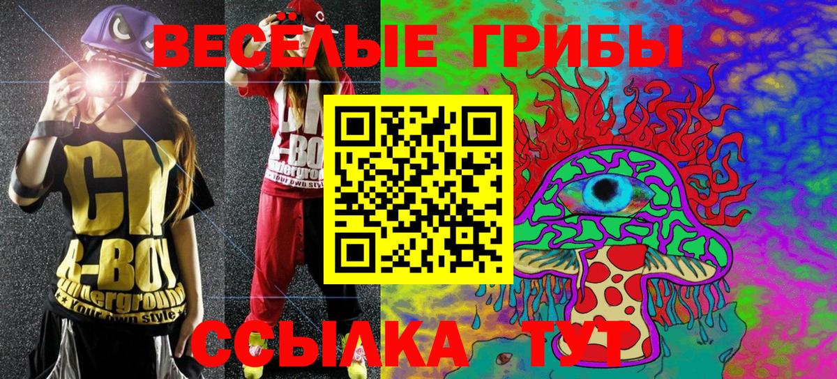 Псилоцибиновые грибы мухоморы Северобайкальск