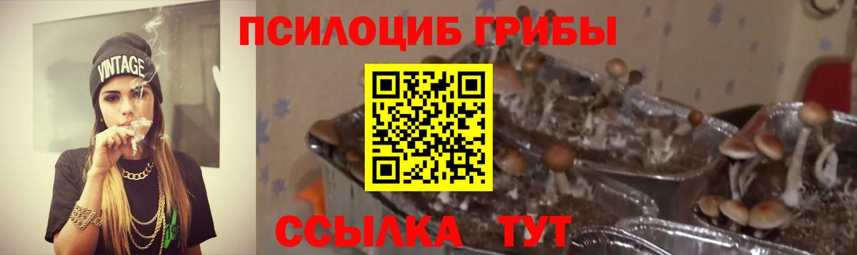 где можно купить   Галлюциногенные грибы Magic Shrooms  Вход с VPN  Северобайкальск 